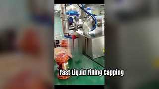 BJLGZ elektrische auto's