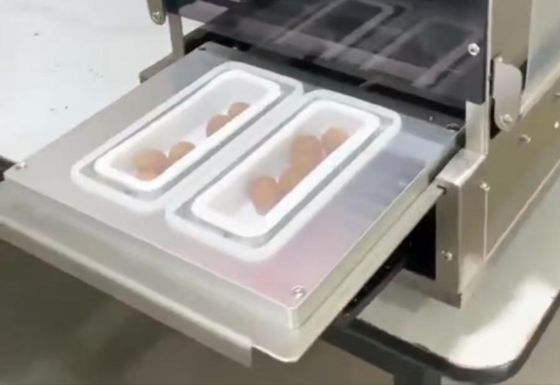 Factory Direct Electric Gas Replacement Plastic Tray Electric Ordinary Packaging DF250TA-E Fully Automatic Food Tray Sealer